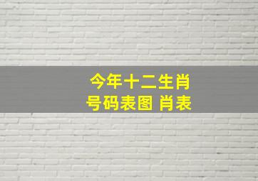 今年十二生肖号码表图 肖表